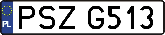PSZG513