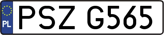 PSZG565