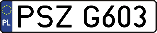 PSZG603