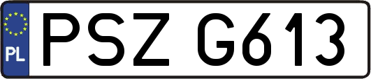 PSZG613