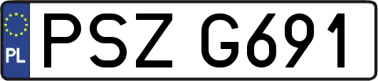 PSZG691