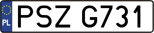PSZG731