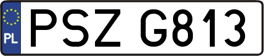 PSZG813