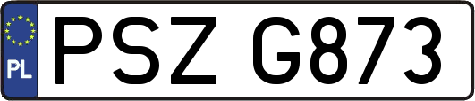 PSZG873