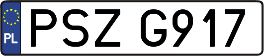 PSZG917