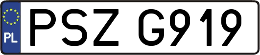 PSZG919