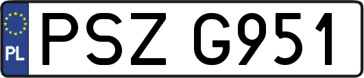 PSZG951