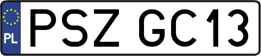 PSZGC13