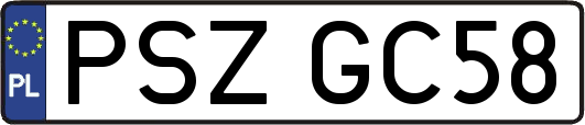 PSZGC58