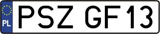 PSZGF13