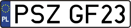 PSZGF23