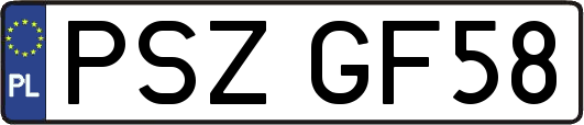 PSZGF58