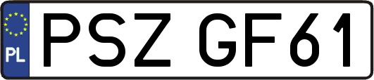 PSZGF61