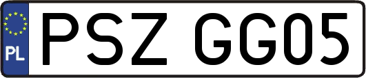 PSZGG05