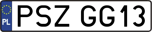 PSZGG13