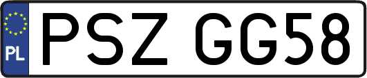 PSZGG58