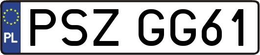PSZGG61