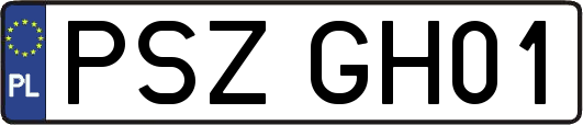 PSZGH01