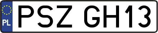 PSZGH13