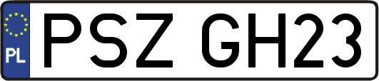 PSZGH23
