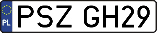 PSZGH29