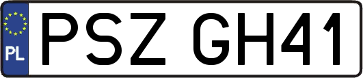 PSZGH41