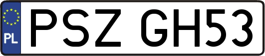 PSZGH53