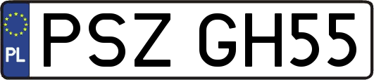 PSZGH55