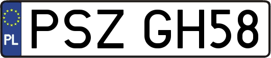 PSZGH58