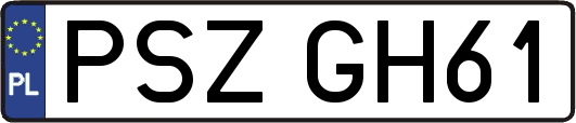 PSZGH61