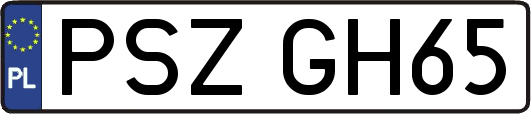 PSZGH65
