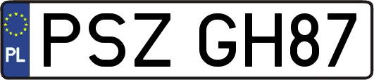 PSZGH87