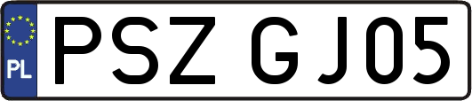 PSZGJ05