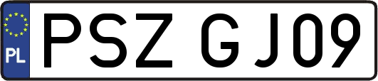 PSZGJ09