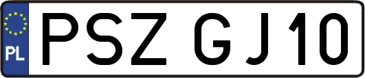 PSZGJ10