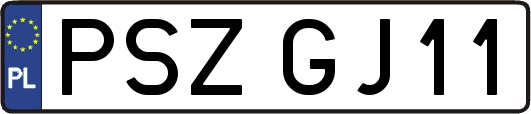 PSZGJ11