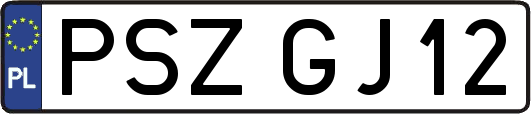 PSZGJ12