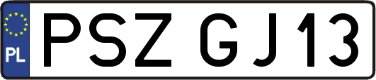 PSZGJ13