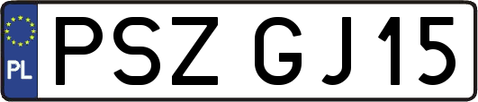 PSZGJ15