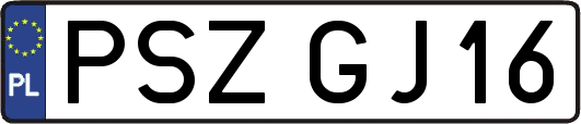 PSZGJ16