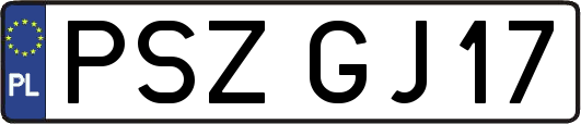 PSZGJ17