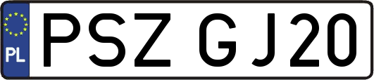 PSZGJ20
