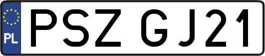 PSZGJ21
