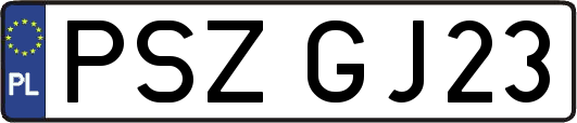 PSZGJ23