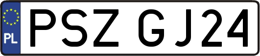 PSZGJ24