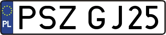 PSZGJ25
