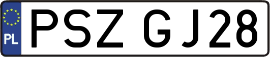 PSZGJ28