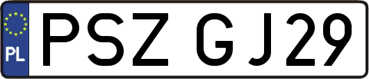 PSZGJ29