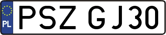 PSZGJ30