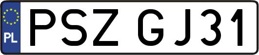 PSZGJ31